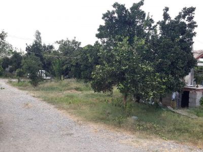 فروش پرورش ماهی در رشت2