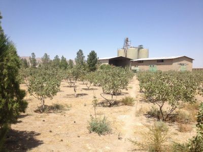 فروش مرغداری تخم گذار و پولت در شهریار 3