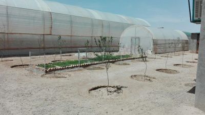 فروش گلخانه فوق العاده استان مرکزی4