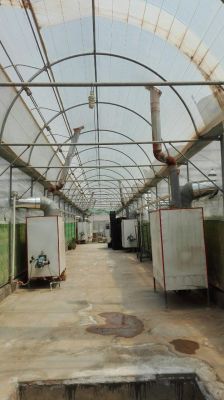 فروش گلخانه فوق العاده استان مرکزی3