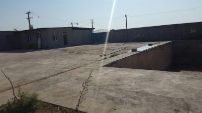 گاوداری 150 راسی و زمین کشاورزی و زمین کارخانه5