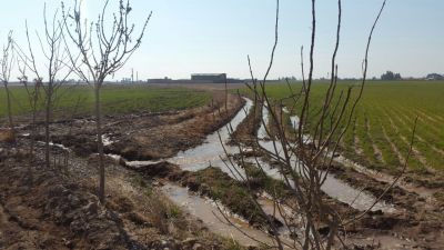 7 هکتار زمین کشاورزی و گاوداری در گرمسار5