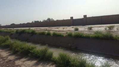 7 هکتار زمین کشاورزی و گاوداری در گرمسار9