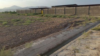 7 هکتار زمین کشاورزی و گاوداری در گرمسار7