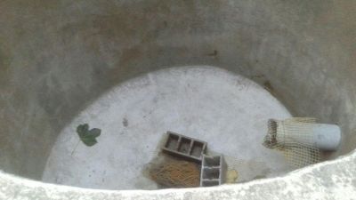 خرید پرورش ماهی در مازندران0