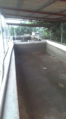 پرورش ماهی در  مازندران0