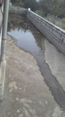 پرورش ماهی در  مازندران4