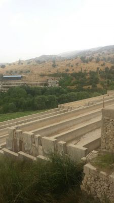 خرید پرورش ماهی در شیراز1