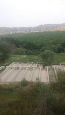 پرورش ماهی در شیراز1