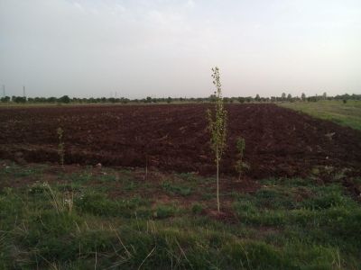 استخر پرورش ماهی در قزوین3