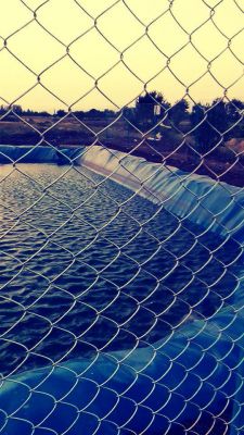 استخر پرورش ماهی در قزوین0