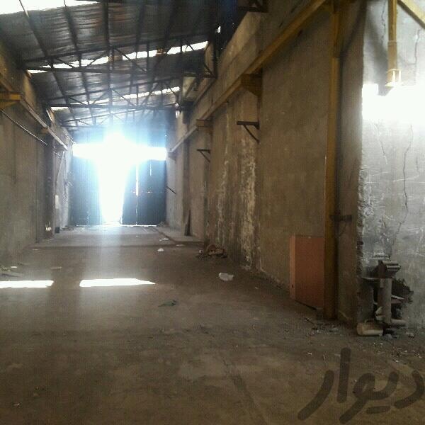 کارگاه فروشی در فردیس1