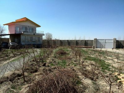 فروش گاوداری 400 راسی گوشتی استان البرز همراه با باغ میوه5