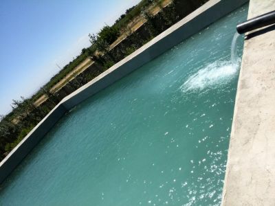 فروش گاوداری 400 راسی گوشتی استان البرز همراه با باغ میوه4