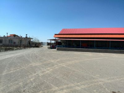 فروش گاوداری 400 راسی گوشتی استان البرز همراه با باغ میوه6