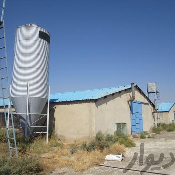 فروش مرغداری ١٨٠ هزار قطعه،پولت فول امکانات در هشتگرد0