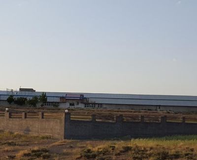 فروش مرغداری گوشتی 25000 قطعه ای تاکستان2