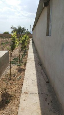 فروش مرغداری تخم گذار 38000 قطعه ای اراک2