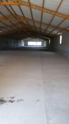 فروش مرغداری تخم گذار 38000 قطعه ای اراک1