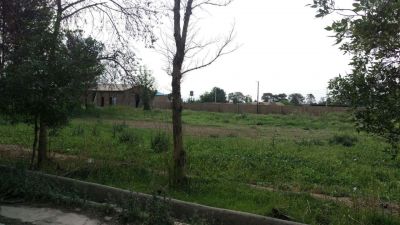 فروش گاوداری 100 راسی شیری در ورامین9