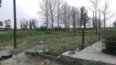 فروش گاوداری 100 راسی شیری در ورامین2