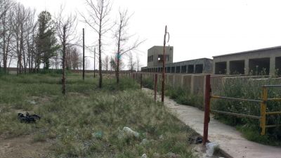 مشارکت در گاوداری شیری100 راسی  در قزوین4