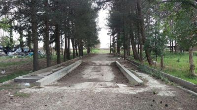 مشارکت در گاوداری شیری100 راسی  در قزوین2