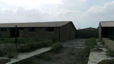 مشارکت در گاوداری شیری100 راسی  در قزوین1