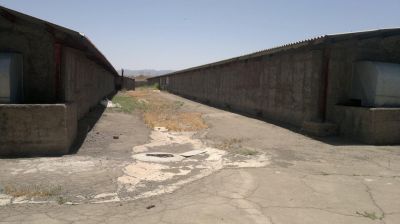 فروش مرغداری 40 هزار قطعه ای گوشتی در زنجان2