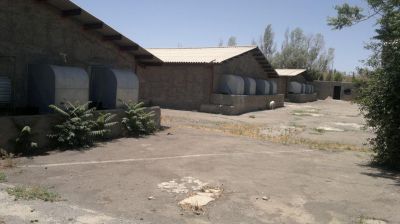 فروش مرغداری 40 هزار قطعه ای گوشتی در زنجان5