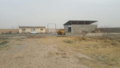 گاوداری شیری 100راسی رباط کریم2