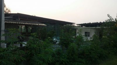 پرورش ماهی در آمل0