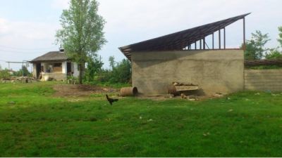 گاوداری و زمین کشاورزی فومن گیلان2