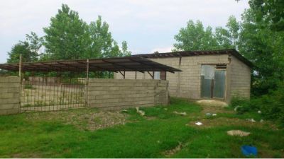 گاوداری و زمین کشاورزی فومن گیلان1