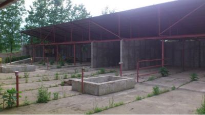 گاوداری و زمین کشاورزی فومن گیلان3