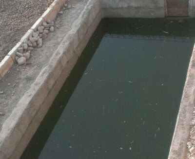 فروش گاوداری در گرمسار3