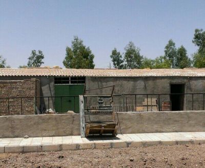 فروش گاوداری در گرمسار1