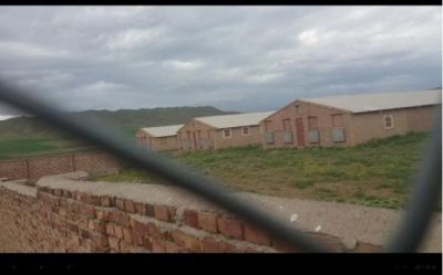 مرغداری گوشتی نزدیک تبریز2