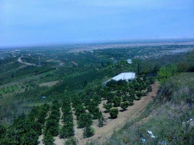 زمین و مجوز مرغداری مازندران3