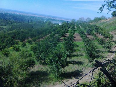 زمین و مجوز مرغداری مازندران1