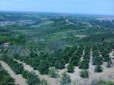 زمین و مجوز مرغداری مازندران2