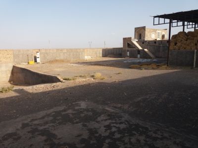 فروش اقساط گاوداری شیری کاشان6