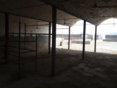 فروش اقساط گاوداری شیری کاشان3