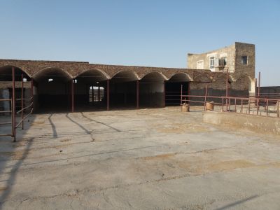 فروش اقساط گاوداری شیری کاشان1