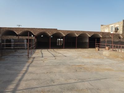 فروش اقساط گاوداری شیری کاشان2