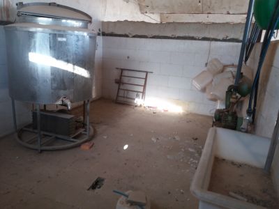 فروش اقساط گاوداری شیری کاشان9