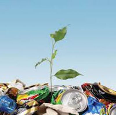 فروش یا اجاره کارخانه بازیافت و تولید کود کمپوست0