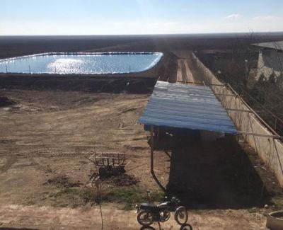 گاوداری قزوین نقد یا معاوضه با آپارتمان 1