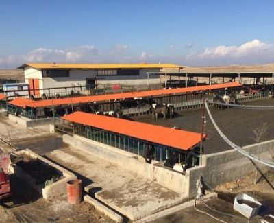 گاوداری قزوین نقد یا معاوضه با آپارتمان 2