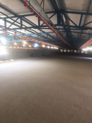 فروش مرغداری گوشتی ۴۰۰۰۰ قطعه در اصفهان (میمه)_خرید مرغداری1